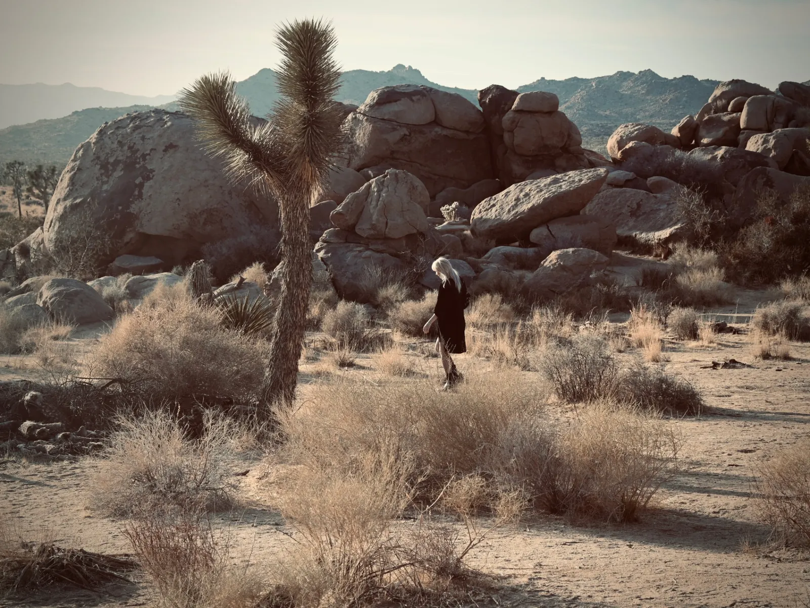 Figure in a black dress walking through Joshua Tree desert at golden hour